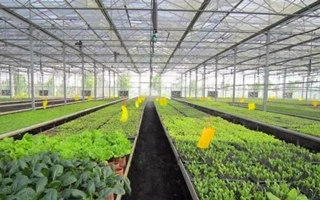 什么是智能農業(yè)溫室大棚監(jiān)測系統(tǒng)？